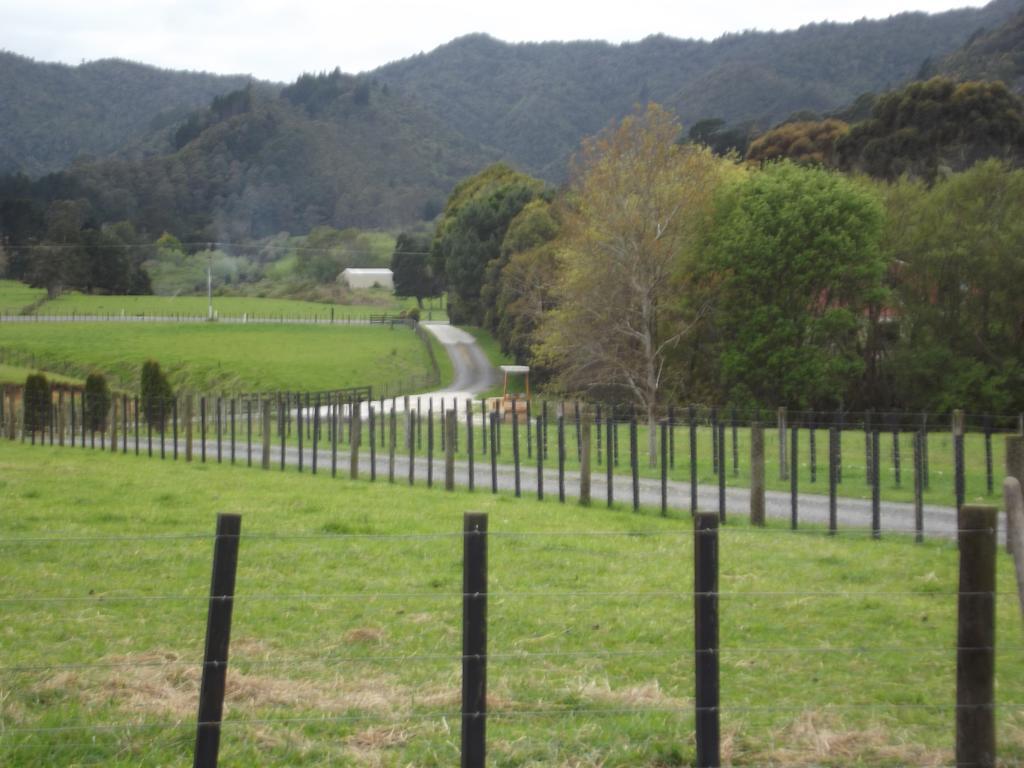 Coromandel 科罗曼德小型农场旅馆酒店 客房 照片