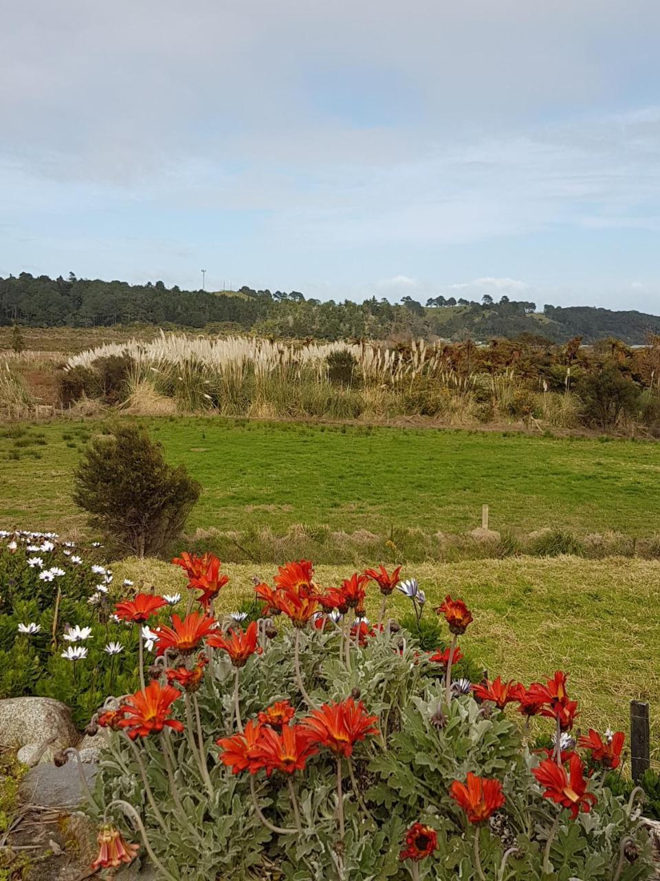 Coromandel 科罗曼德小型农场旅馆酒店 外观 照片