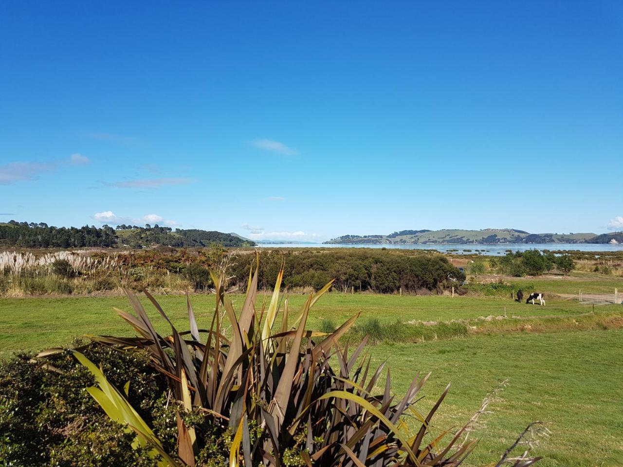 Coromandel 科罗曼德小型农场旅馆酒店 外观 照片