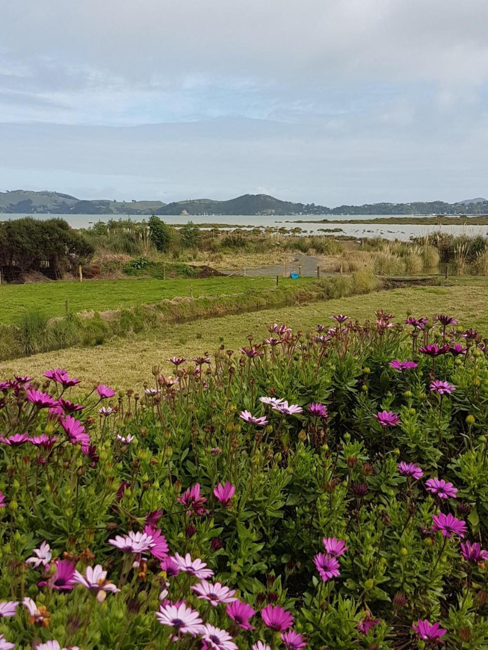Coromandel 科罗曼德小型农场旅馆酒店 外观 照片