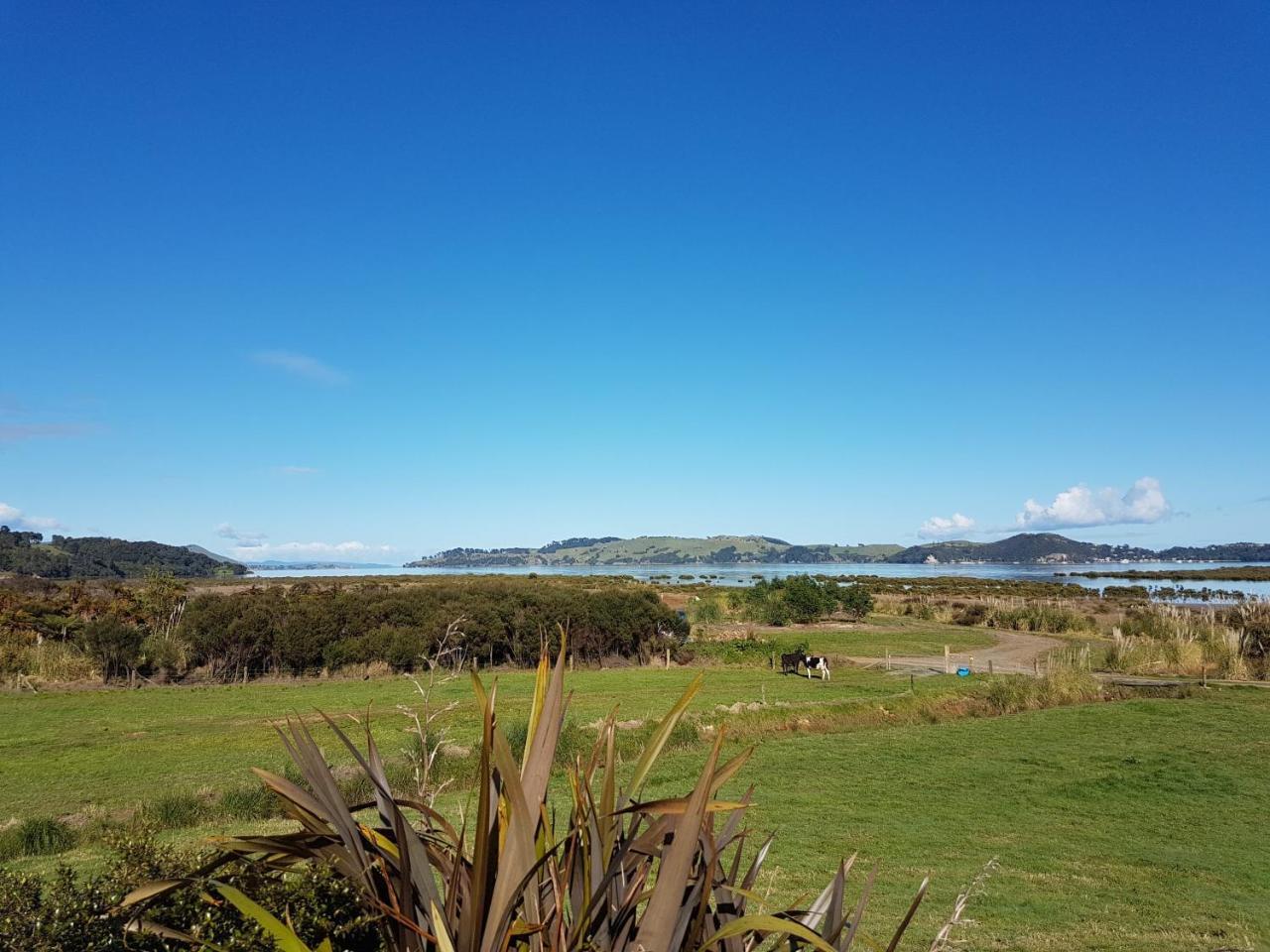 Coromandel 科罗曼德小型农场旅馆酒店 外观 照片
